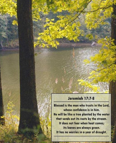 jeremiah17_7-8