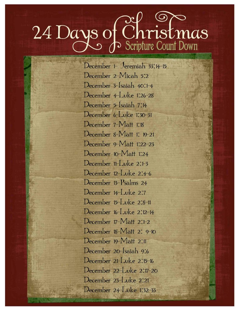 24 Days of Christmas pic