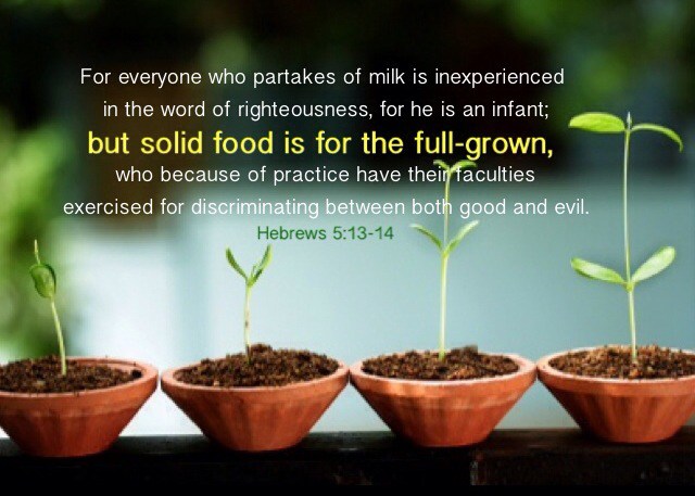 hebrews 5,13-14