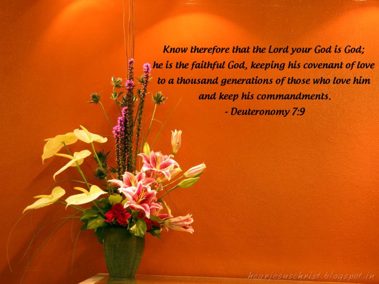 deutoronomy7-9