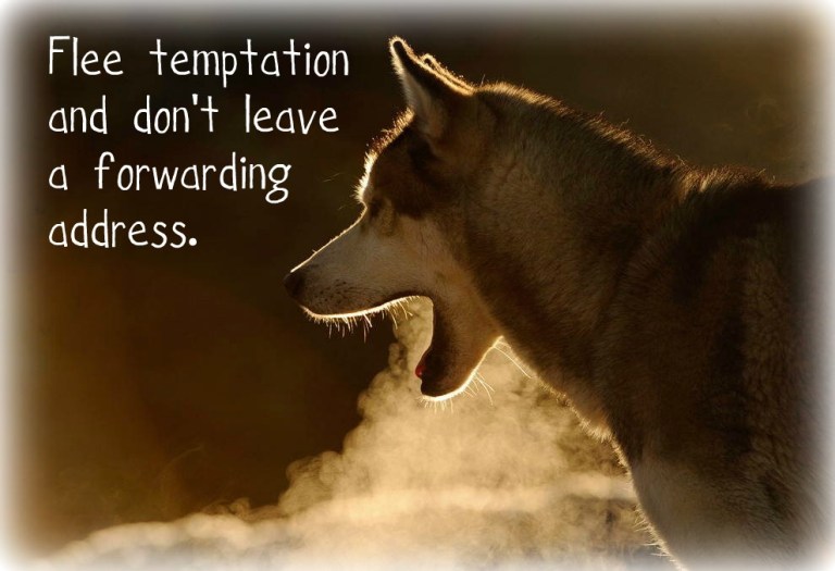 flee-temptation