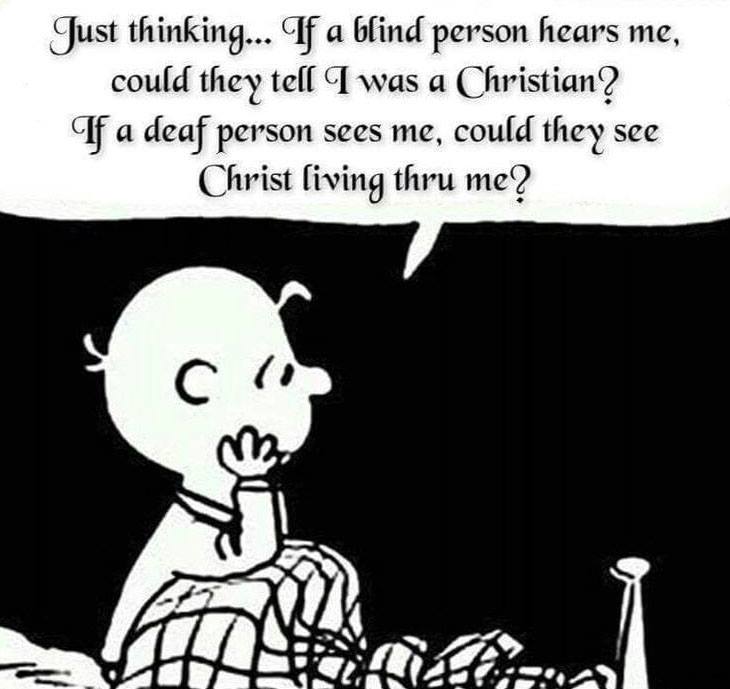 Charlie Brown quote1